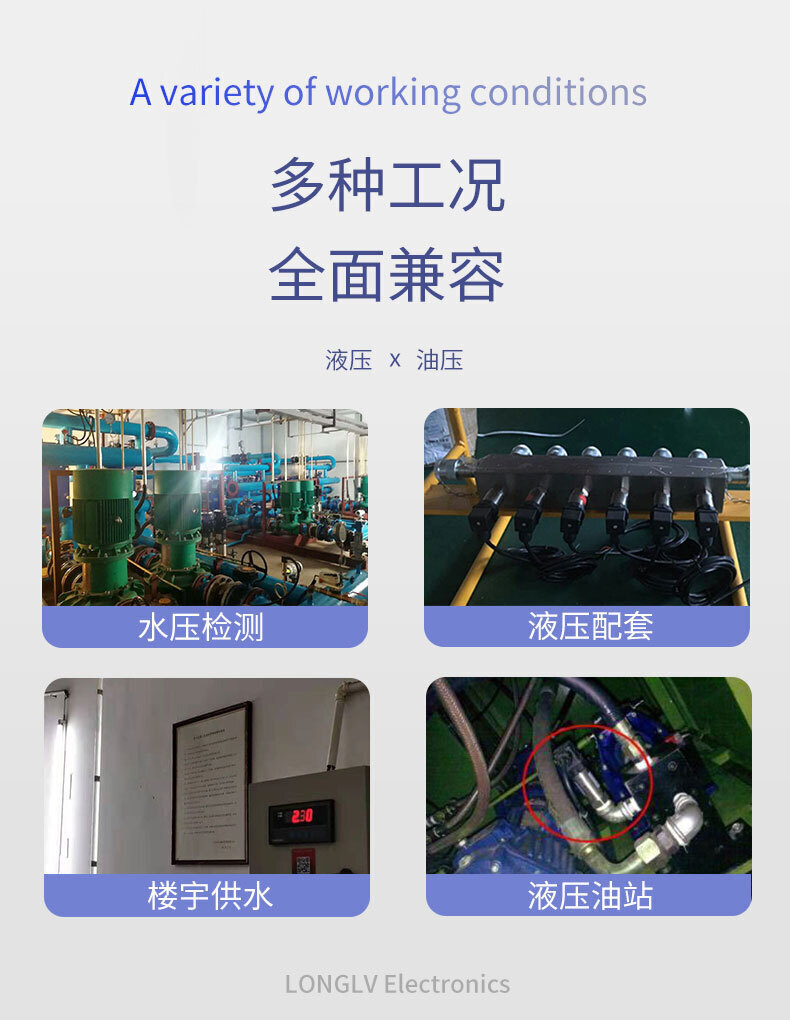 PTL601投入式液位变送器_02